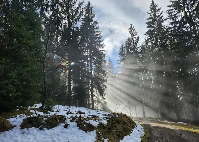 Ferienwohnung Herzlicht