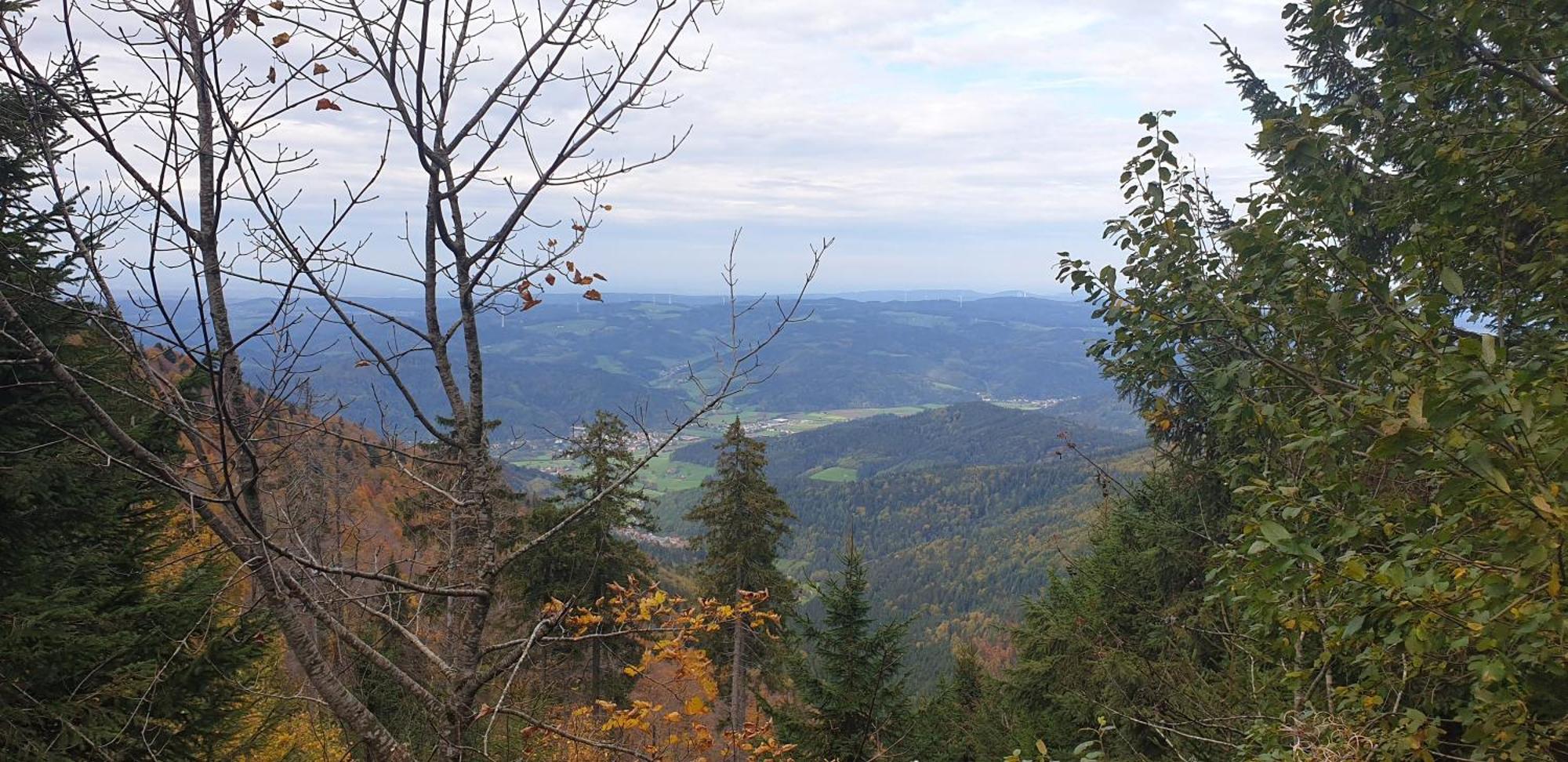 Herzlicht Titisee-Neustadt